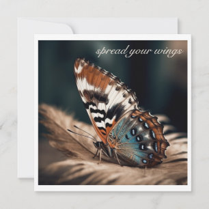 Mariposa sentada en una pluma suave