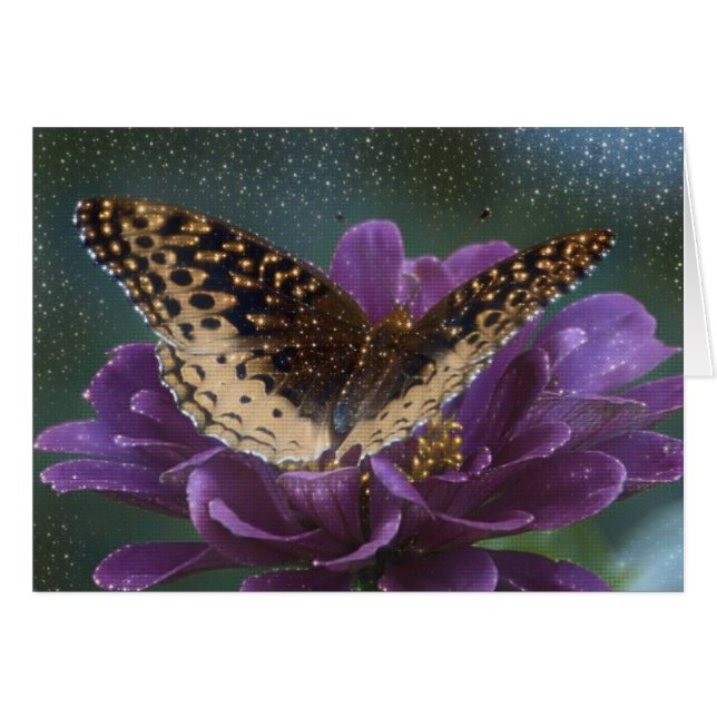 Mariposa Starlight (Anverso (Horizontal))
