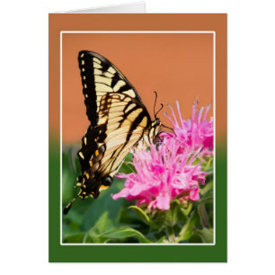 Mariposa Swallowtail del Tigre del Este