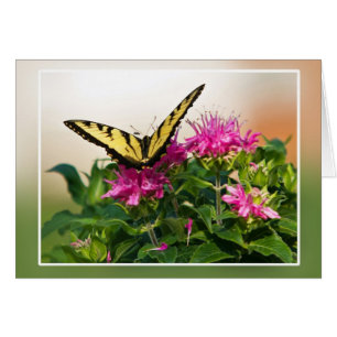 Mariposa Swallowtail del Tigre del Este