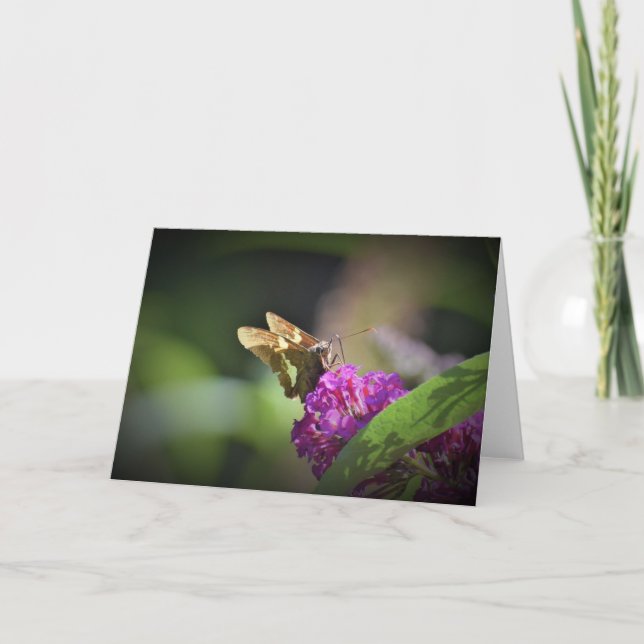 Mariposa, tarjeta (Anverso)