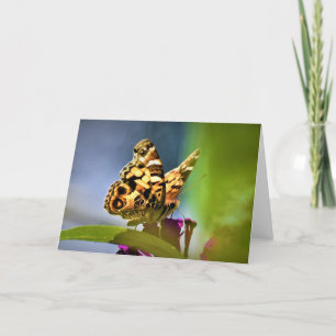 Mariposa, tarjeta