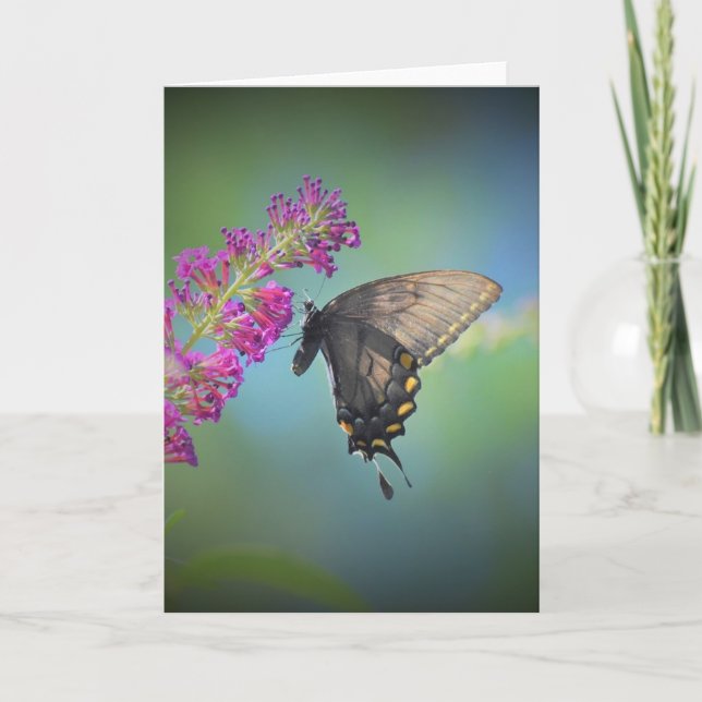 Mariposa, tarjeta (Anverso)