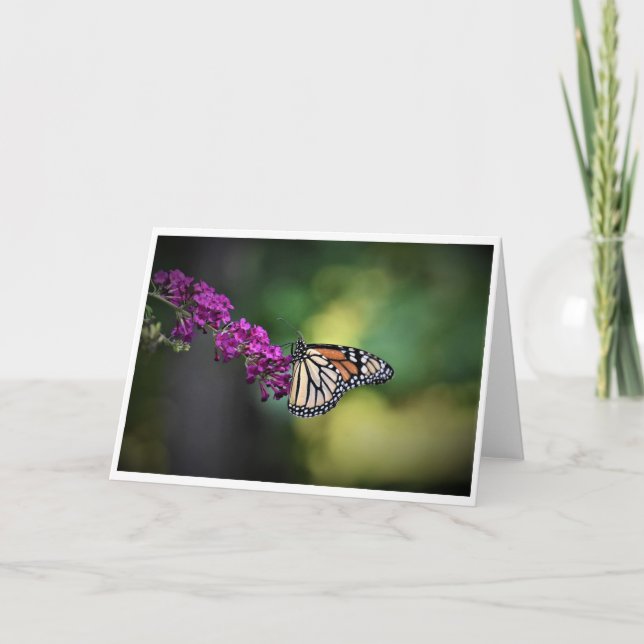 Mariposa, tarjeta (Anverso)