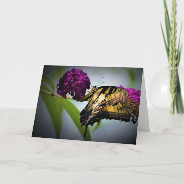 Mariposa, tarjeta (Anverso)