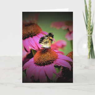 Mariposa, tarjeta