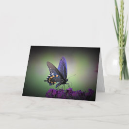 Mariposa, tarjeta
