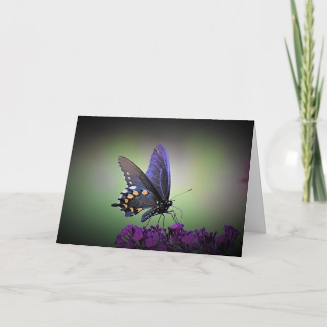 Mariposa, tarjeta (Anverso)