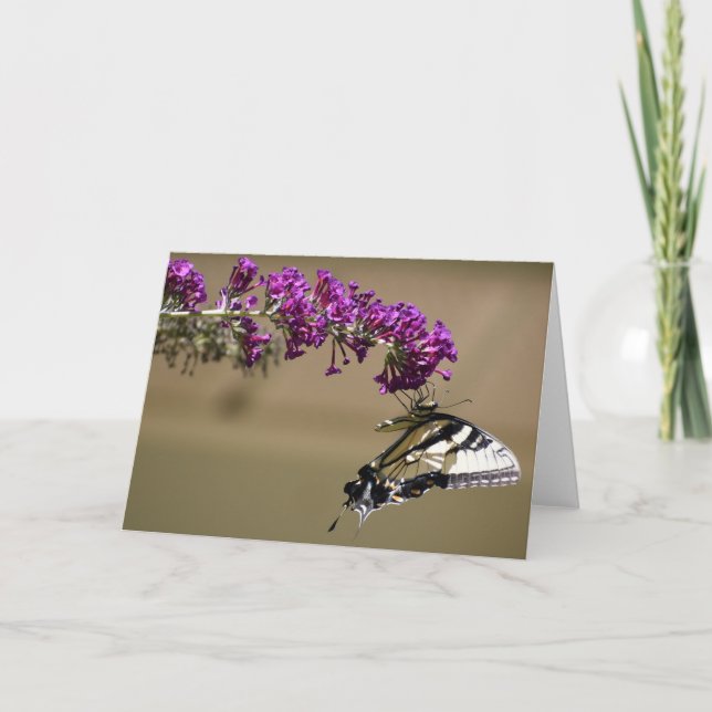 Mariposa, tarjeta (Anverso)