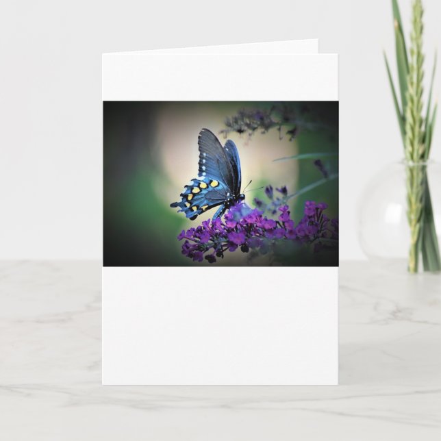 Mariposa, tarjeta (Anverso)