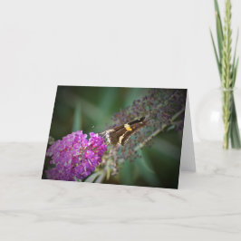 Mariposa, tarjeta