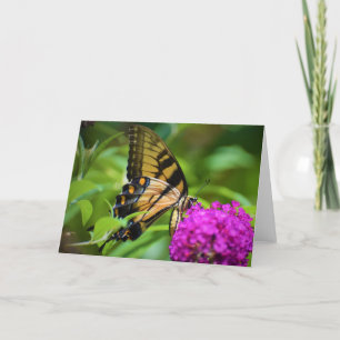 Mariposa, tarjeta