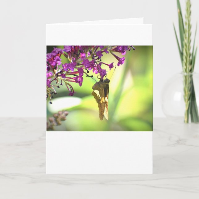 Mariposa, tarjeta (Anverso)