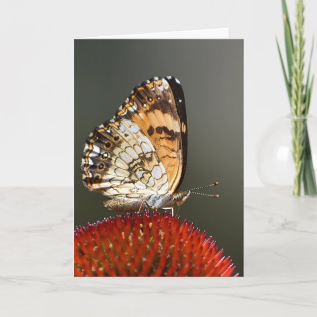 Mariposa, tarjeta (Anverso)