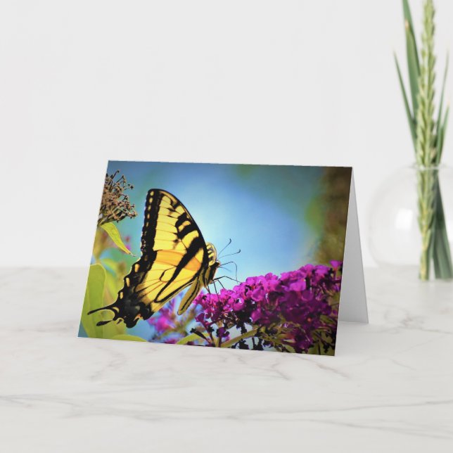 Mariposa, tarjeta (Anverso)