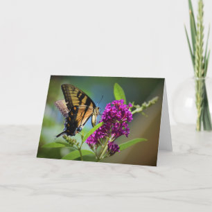 Mariposa, tarjeta