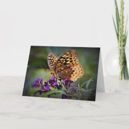 Mariposa, tarjeta