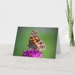 Mariposa, tarjeta