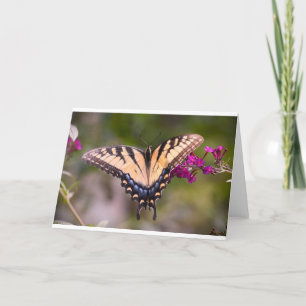 Mariposa, tarjeta