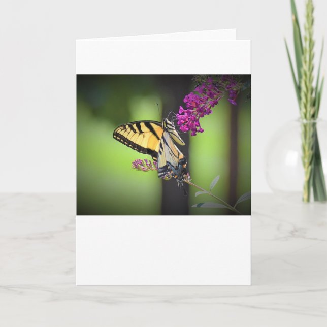 Mariposa, tarjeta (Anverso)