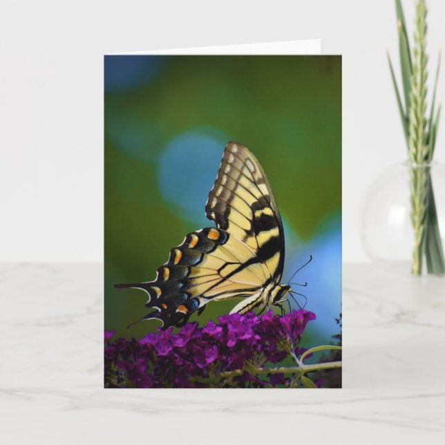 Mariposa, tarjeta (Anverso)