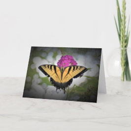 Mariposa, tarjeta
