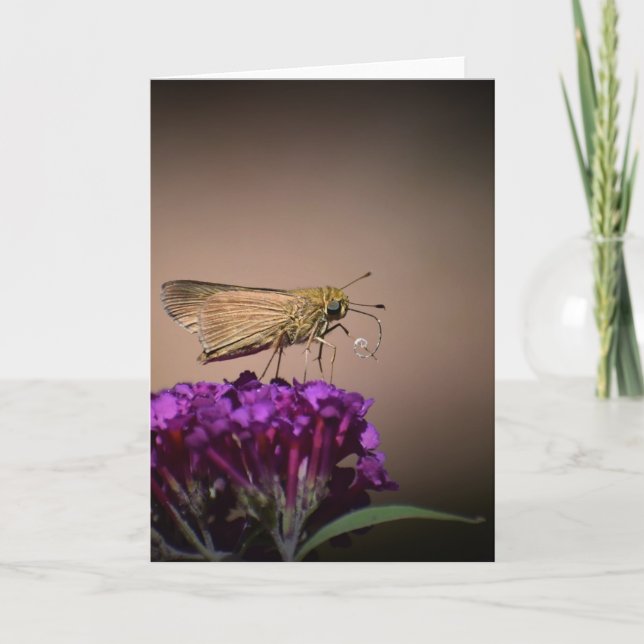 Mariposa, tarjeta (Anverso)