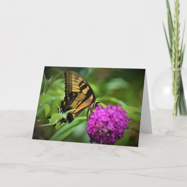 Mariposa, tarjeta (Anverso)