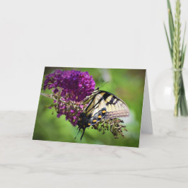 Mariposa, tarjeta