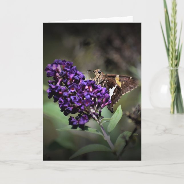 Mariposa, tarjeta (Anverso)