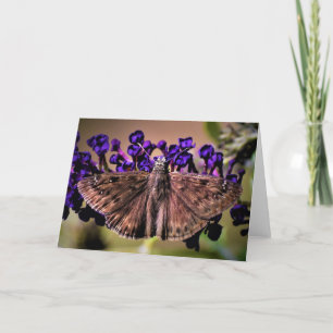 Mariposa, tarjeta
