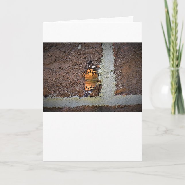 Mariposa, tarjeta (Anverso)