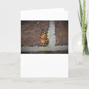 Mariposa, tarjeta