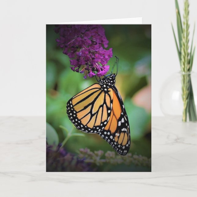 Mariposa, tarjeta (Anverso)