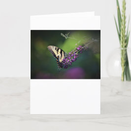 Mariposa, tarjeta