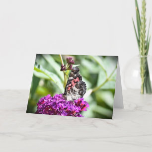 Mariposa, tarjeta