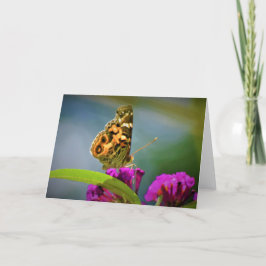 Mariposa, tarjeta