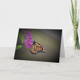 Mariposa, tarjeta