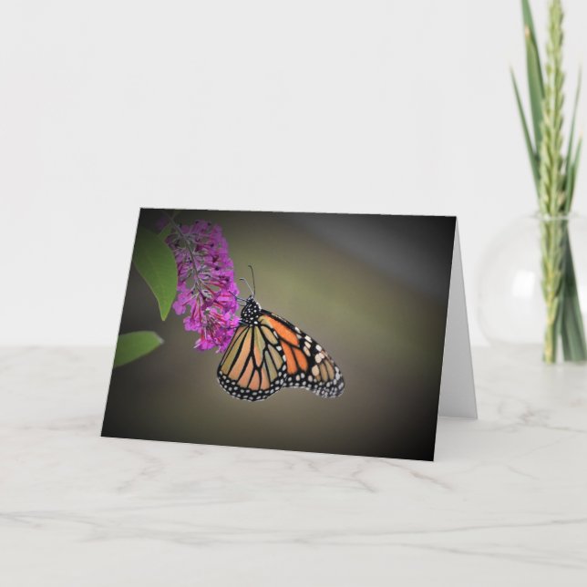 Mariposa, tarjeta (Anverso)