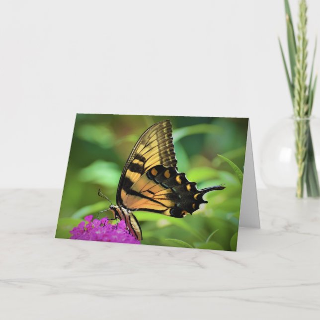 Mariposa, tarjeta (Anverso)