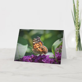 Mariposa, tarjeta