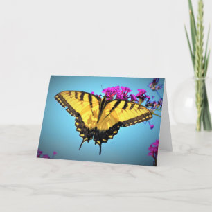 Mariposa, tarjeta