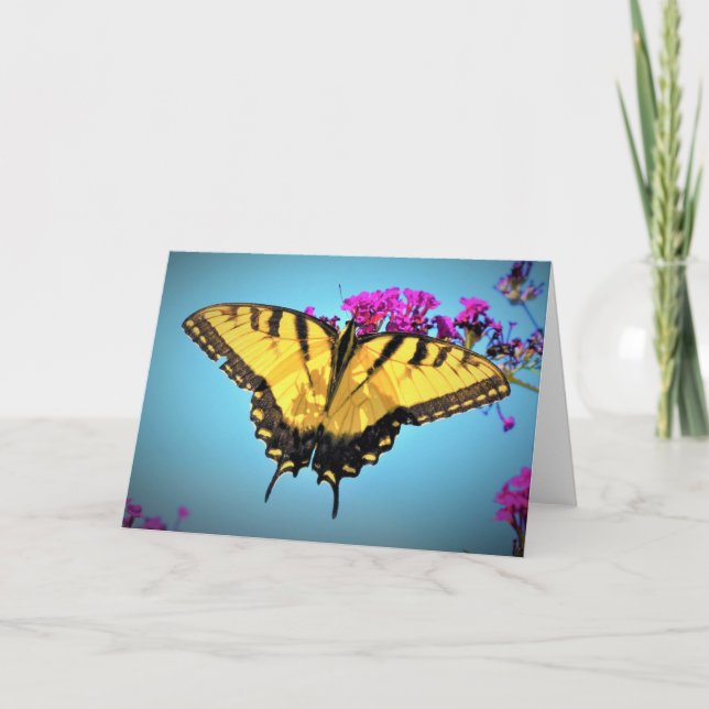 Mariposa, tarjeta (Anverso)