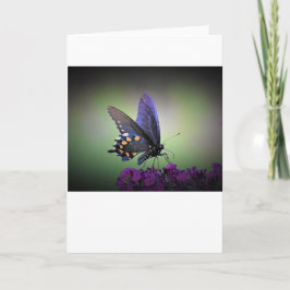 Mariposa, tarjeta