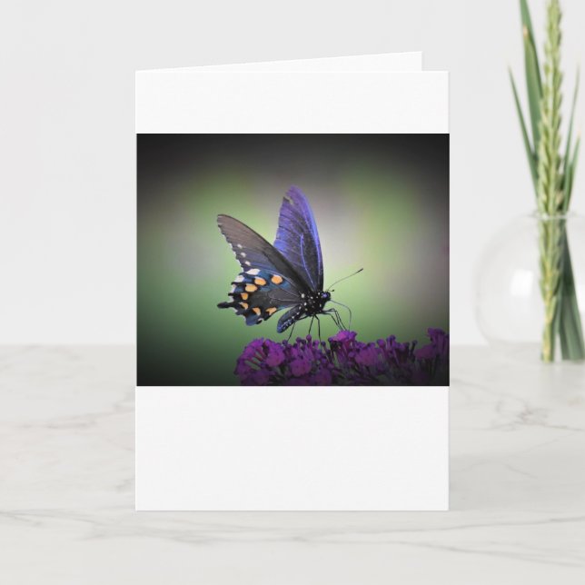 Mariposa, tarjeta (Anverso)