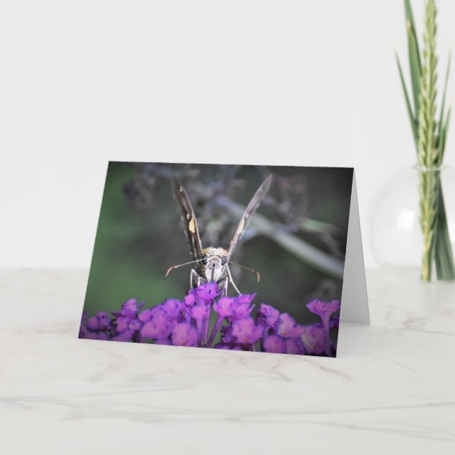Mariposa, tarjeta (Anverso)