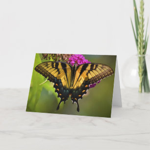 Mariposa, tarjeta