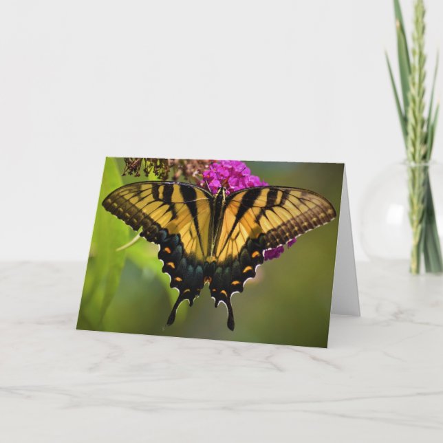 Mariposa, tarjeta (Anverso)