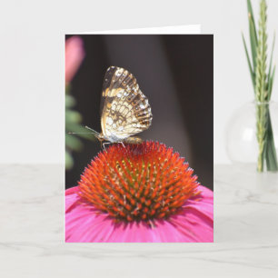 Mariposa, tarjeta