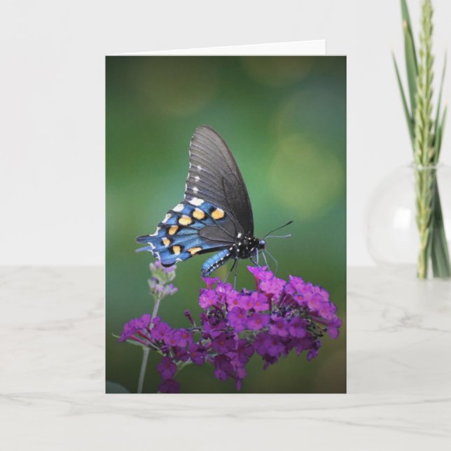 Mariposa, tarjeta (Anverso)